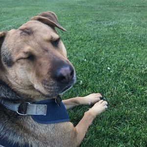 Meet your Posher, Kendra